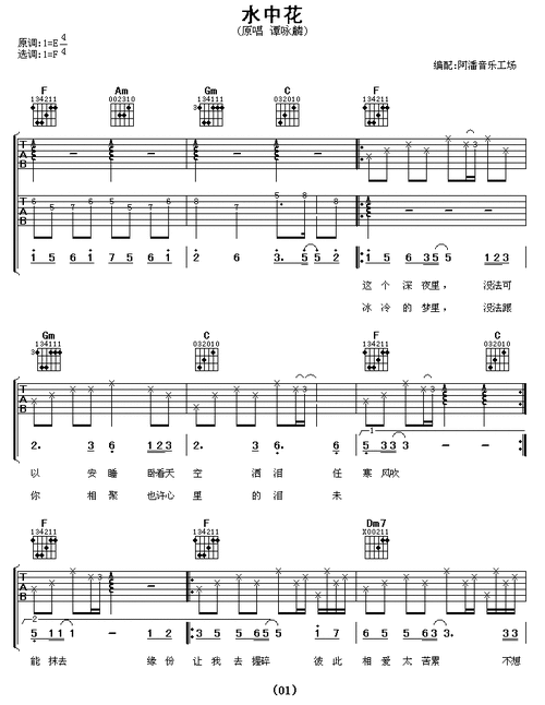 水中花 谭咏麟 吉他谱 和弦谱