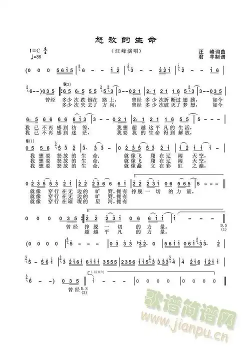 怒放的生命 歌谱简谱网