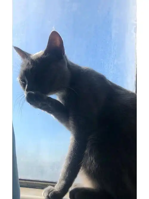 这邪魅的眼神00感觉被调戏了