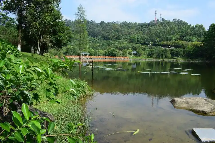 东莞大岭山一游