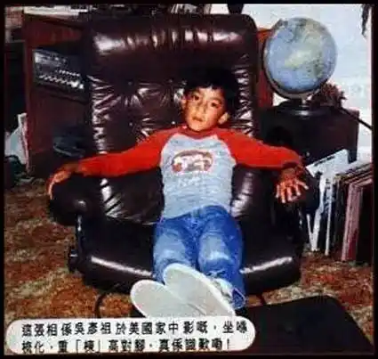 吴彦祖童年时期于美国家中 小时候的吴彦祖走的是萌系路线,但到了中学