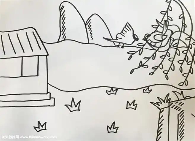 两个黄鹂鸣翠柳古诗配画