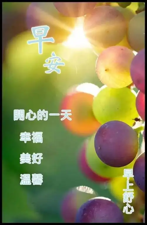 9月9日,早上好!数不完的是我无限的祝愿.愿你好花常开,好运常来