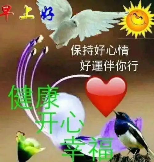 中老年表情包冬天早上好问候祝福语青山依旧在几度夕阳红