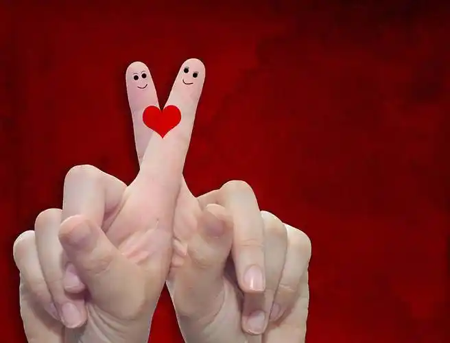 手指,心形,人,女性,两个_高清图片_全景视觉