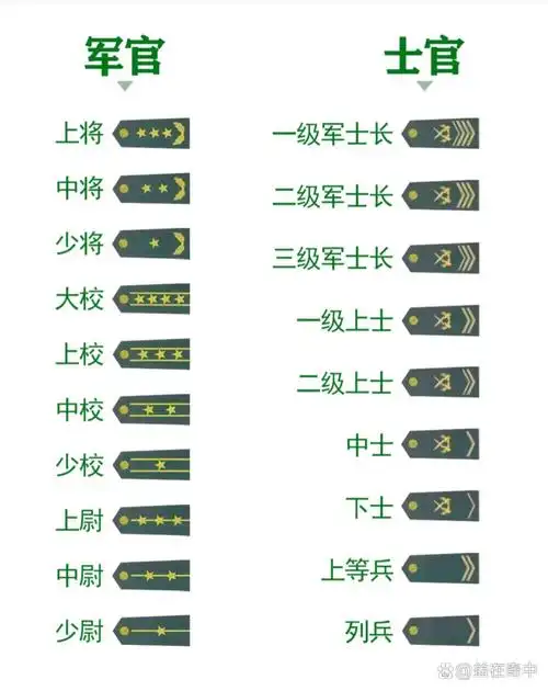 军官与士官肩章区别