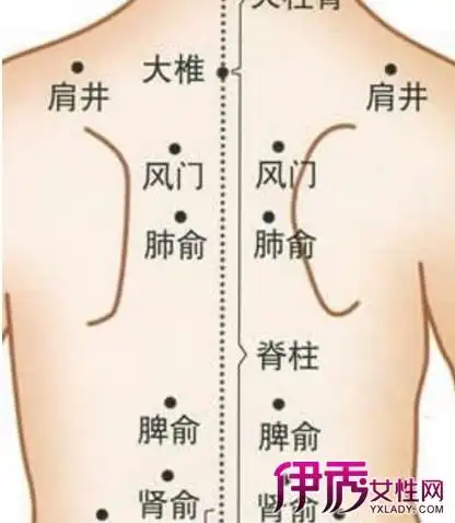 【图】分析人体背部穴位图 告诉你背部拔罐穴位