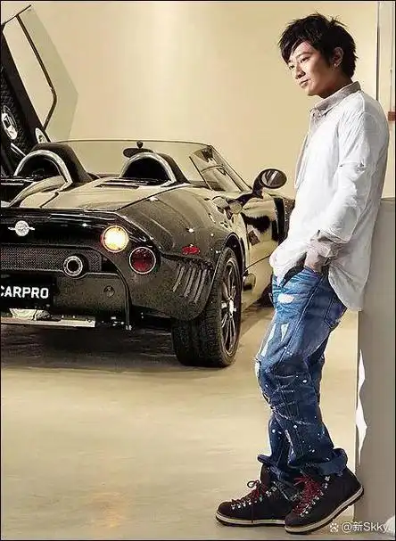 20岁红过林志颖却因一句话被封杀如今爱国的他终于被大众看到