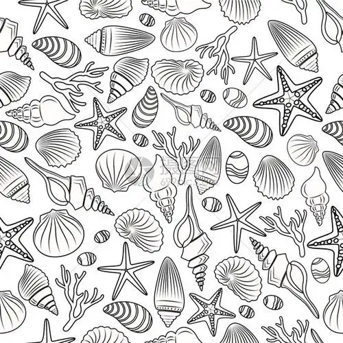 黑色线条贝壳和海星元素背景插画图片下载-正版图片303692816-摄图网