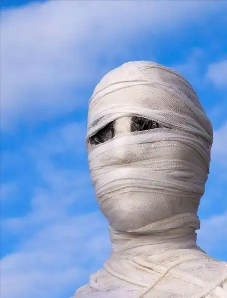 木乃伊,白色,布,绷带,蒙特利尔,植物园,魁北克,加拿大