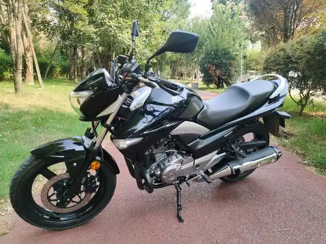 二手豪爵铃木骊驰 gw250