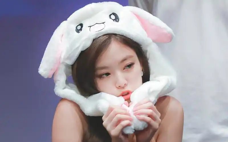 当粉墨四只变成兔子?麻烦各位认领一下谁家的崽