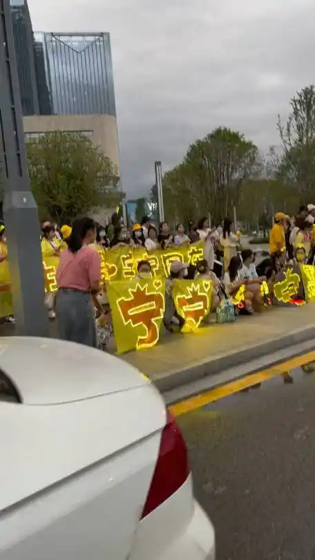 刘宇宁粉丝应援,姐妹们太给力了!