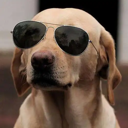 浓妆墨镜社会人_欧美重口味头像图片_扣扣居