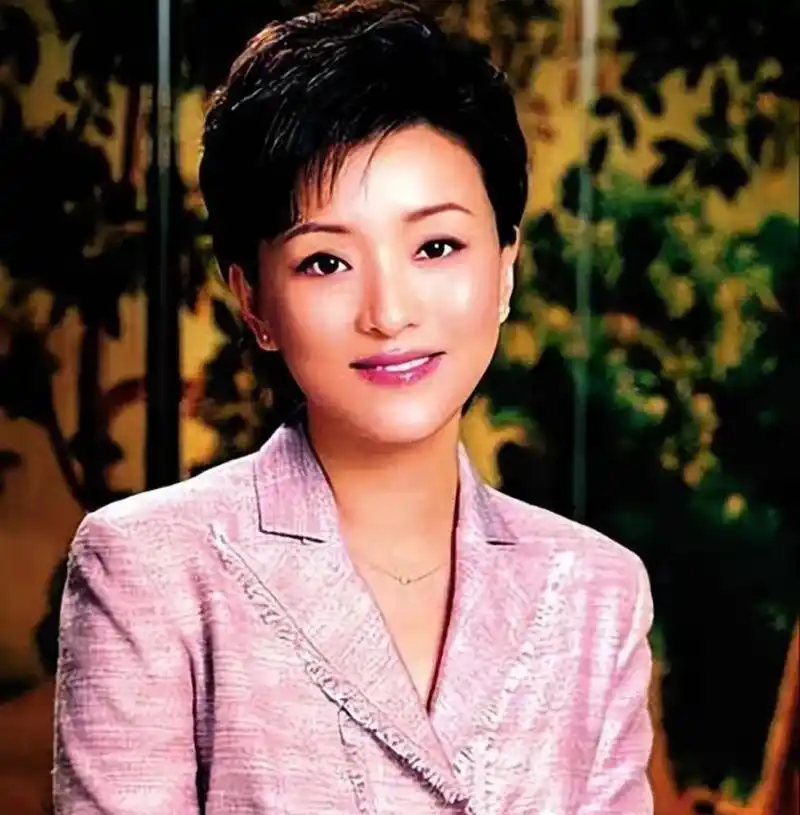 1995年,出国深造的杨澜非要和银行上班的老公张一兵离婚,父亲苦口婆心