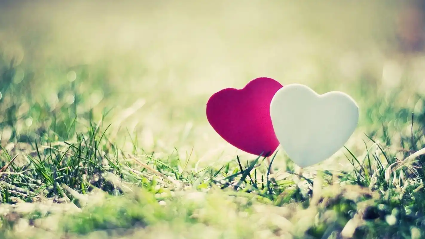 情侣恋人告白小清新桌面壁纸