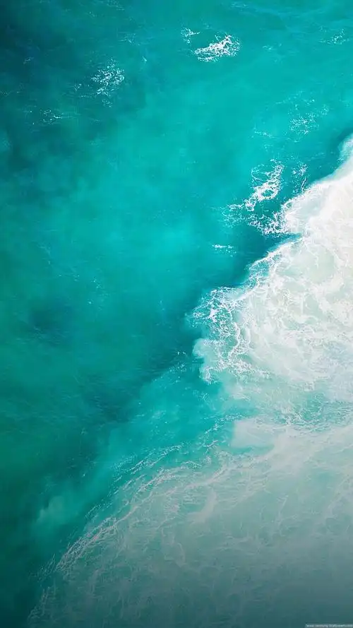 iphone高清壁纸～插画～动漫～竖屏壁纸～原创平铺～可爱～日系～治愈