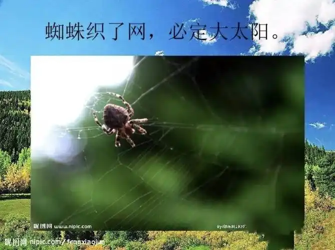 【晨曦幼儿园】停课不停学科学活动《会预报天气的动物》