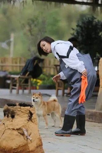 王珞丹做客《向往的生活》与恩师赵宝刚综艺合体引发"回忆杀"