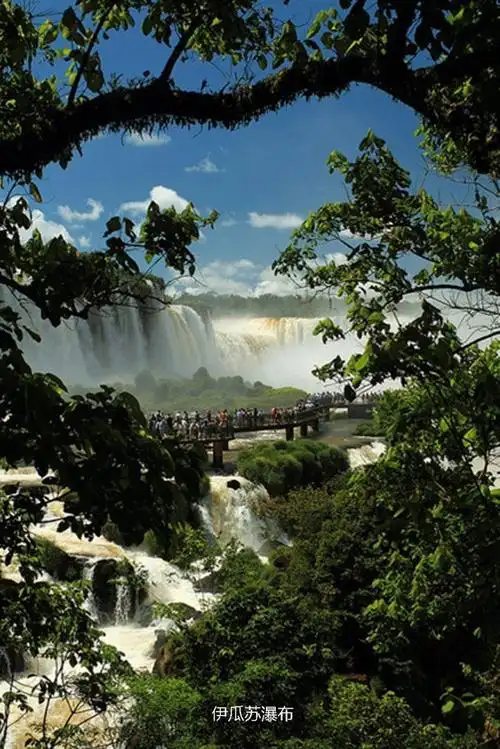 世界奇观,顶级美景,【燕窝城堡,比萨斜塔】,(九十四)