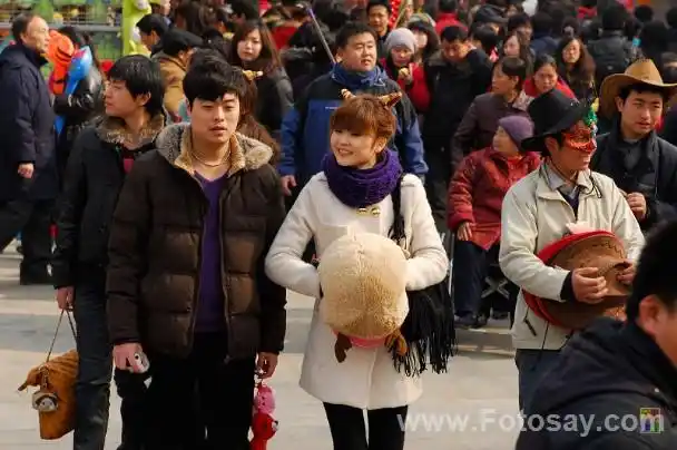 一组2010年春节庙会的片子