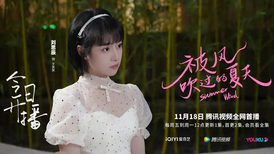 刘思辰主演电视剧《被风吹过的夏天》今日开播 "萌"汉子于笑笑开启