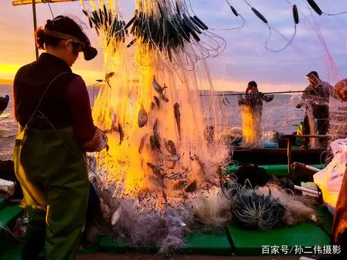 捕鱼归来 喜获丰收