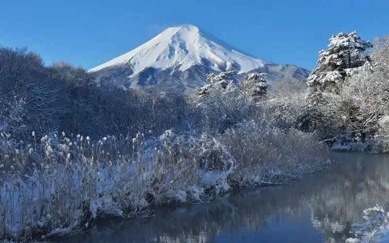 富士山,雪,冬,树,河,日本 壁纸