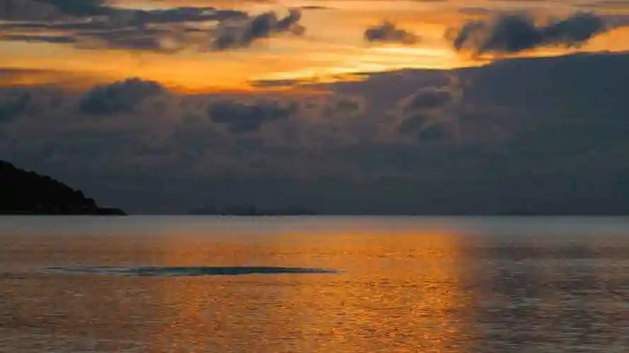 黄昏大海简约意境唯美壁纸