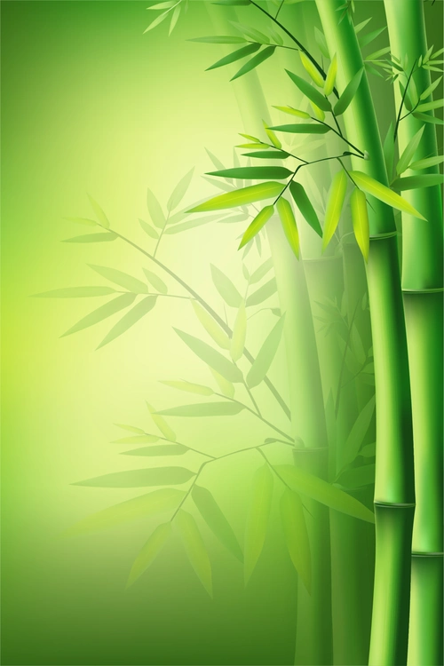 860_1290竖版 竖屏