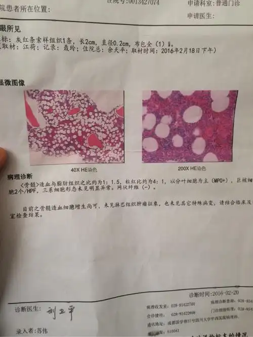 请求看看骨穿报告是多发骨髓瘤可能吗