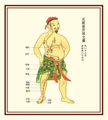 胫骨后缘与比目鱼肌相连,是足太阴脾经循行所过,临床上发现,大多数