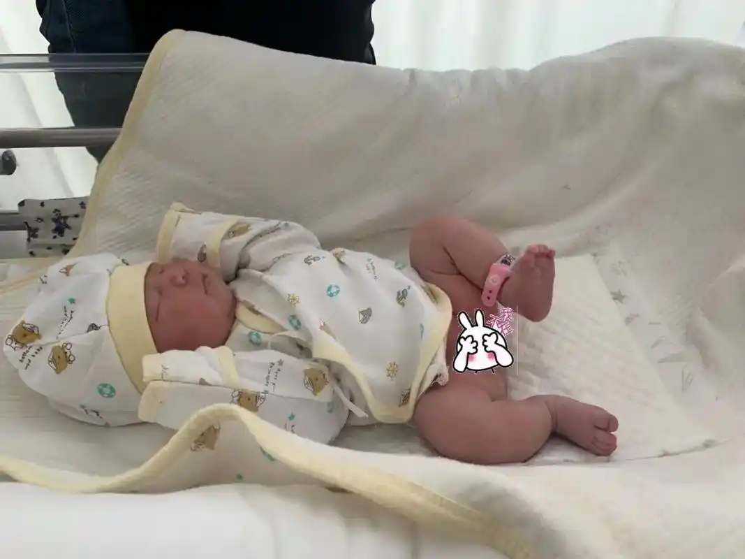 报喜了7815报喜了7815我家刚刚出生的小宝宝 #日常vlog