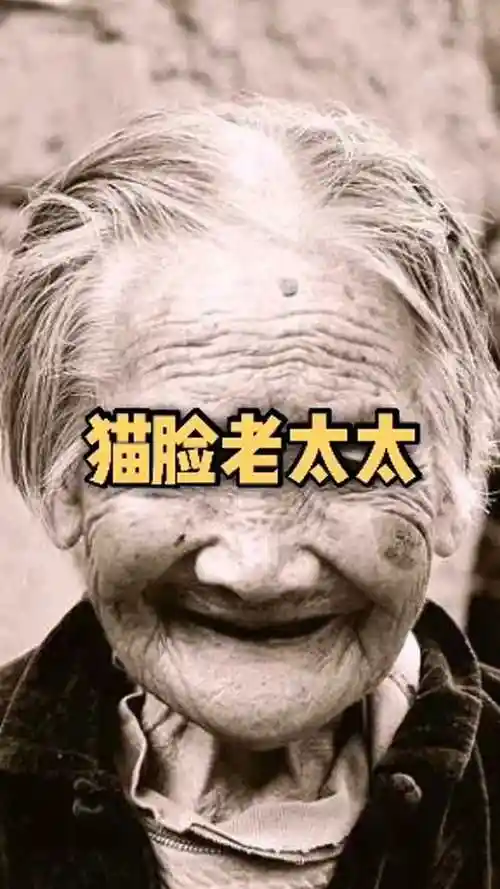 民间故事,猫脸老太太