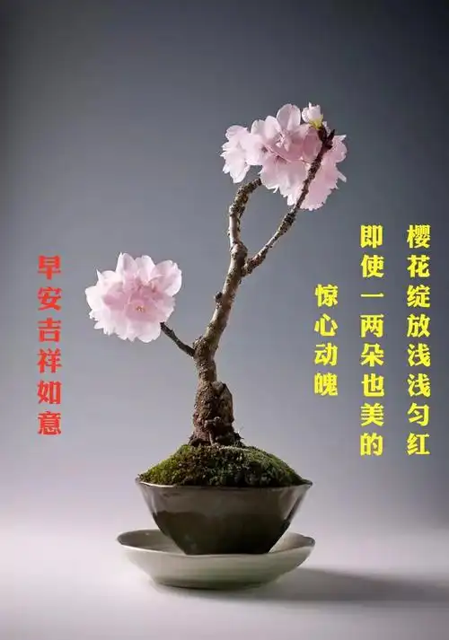 写美篇  不平凡的2020年一去不复返了,心中留下的那些美好让人有那