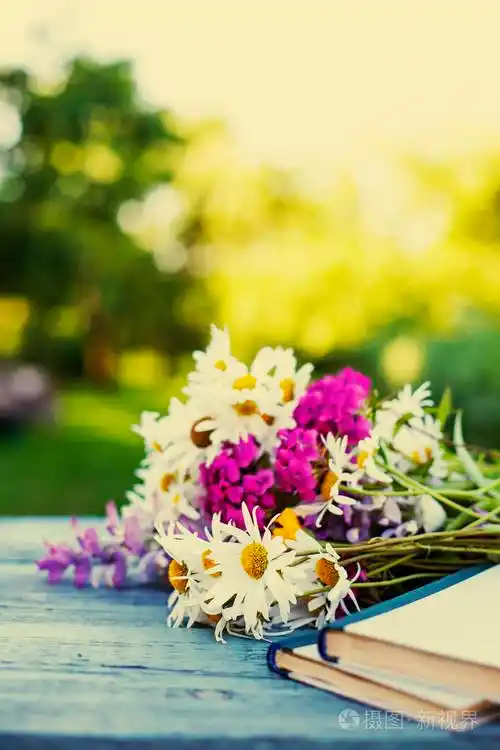 花的野花在破旧的木桌与复古书籍