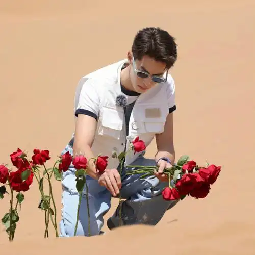 王鹤棣 资源咖?