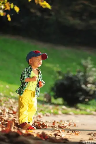 乖娃娃 - 贵州都市网