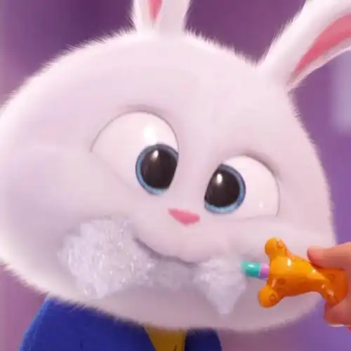 爱宠大机密2小白