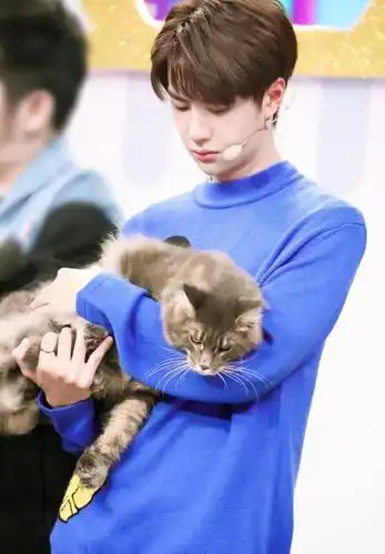 不一样的酷盖,王一博高清壁纸图片