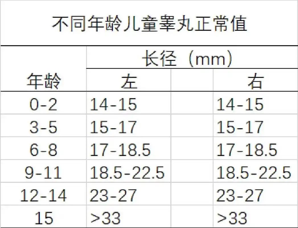 儿童睾丸大小 不同年龄的儿童青少年睾丸大小数值