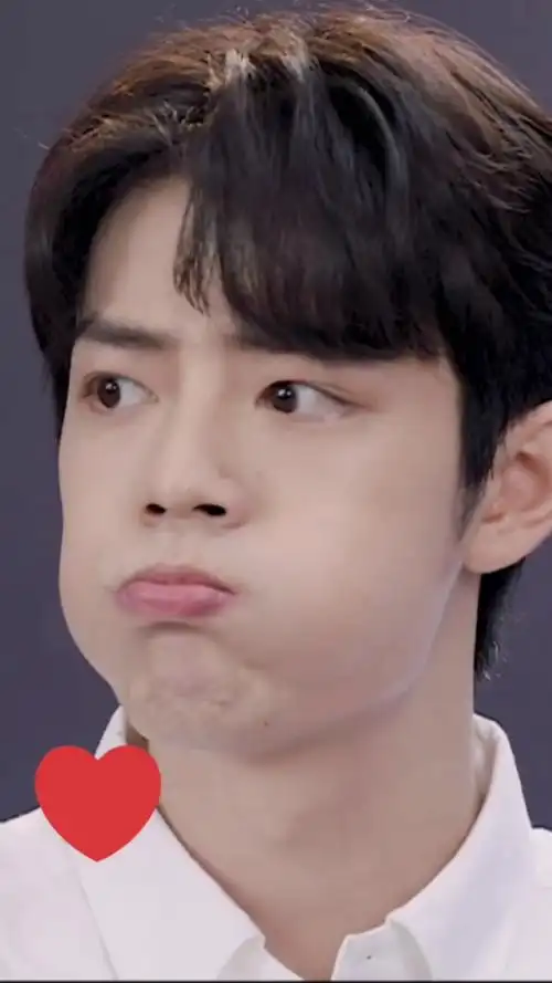 明星#肖战现身综艺,嘟嘴卖萌的样子,超心动