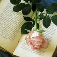 头像书香气息唯美 简约书香门第头像_微信头像图片大全