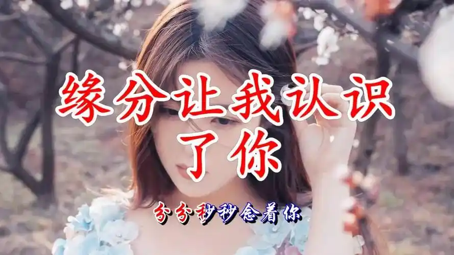 歌曲《缘分让我认识了你》,从此我就爱上你