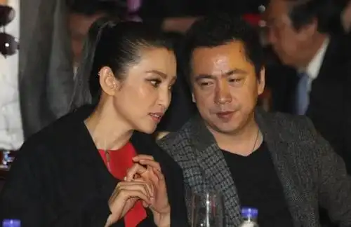 李冰冰个人简历女强人李冰冰的坎坷情史