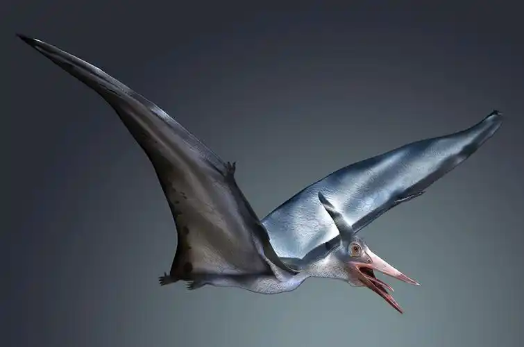 无齿翼龙_恐龙种类_恐龙品种分类l型名称大全恐龙品类图片大全名字