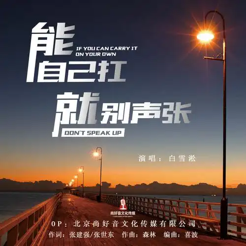 张_白雪淞_高音质在线试听_能自己扛就别声张歌词