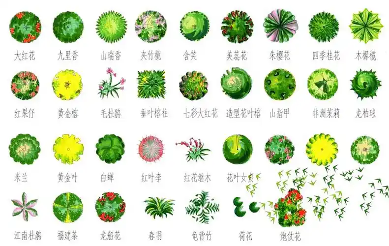 ps彩平图图例植物素材psd格式