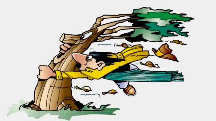 不一样的大风吹,吹倒多少人的心,请问这个风什么时候停哦!