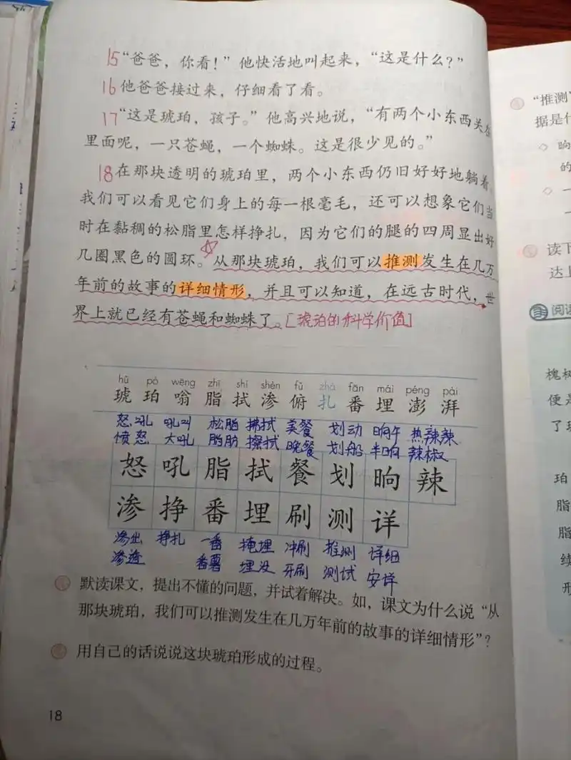 琥珀 #四年级下册语文# #四年级语文下册# #四年级语文下册课堂笔记